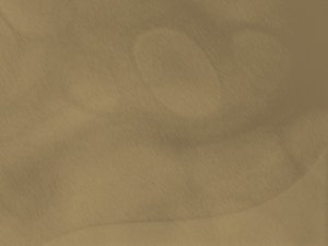 常见财务指标误区：营收增长快就值得投资吗